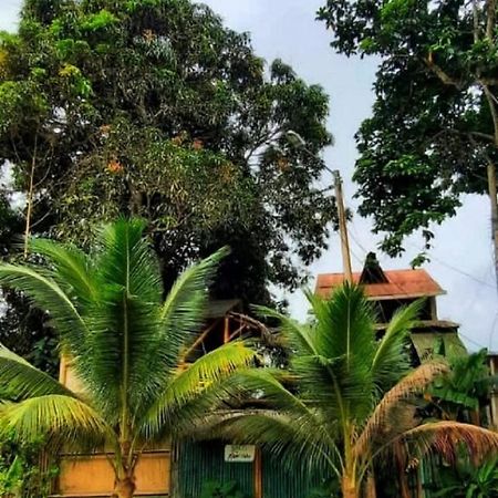 Raices Mompiche Otel Dış mekan fotoğraf