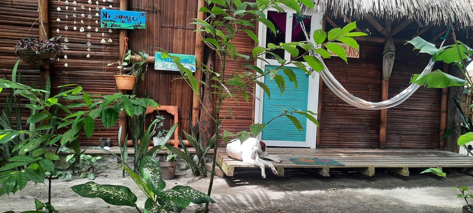 Raices Mompiche Otel Oda fotoğraf
